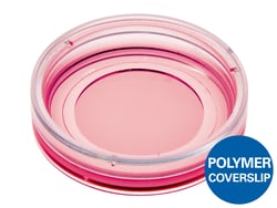 Ibidi USA µ-Dish 35 mm, Low, ibiTreat - Tissue Culture Treated Polymer