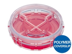 Ibidi USA µ-Dish 35 mm Quad, ibiTreat - Tissue Culture Treated Polymer
