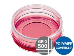 Ibidi USA µ-Dish 35 mm, High, Grid-500, ibiTreat - Tissue Culture Treated
