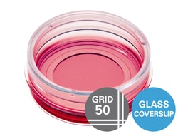 Ibidi USA µ-Dish 35 mm, High, Grid-500, Glass Bottom - #1.5H Glass Bottom