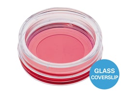 Ibidi USA Glass Bottom Dish 35mm - #1.5 Glass Bottom Coverslip, Quantity: