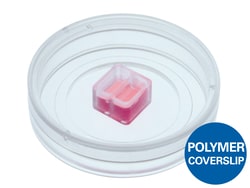 Ibidi USA Culture-Insert 2 Well in µ-Dish 35mm, Low, ibiTreat - Tissue