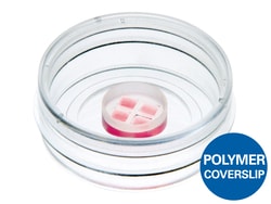 Ibidi USA micro-Insert 4 Well in µ-Dish 35 mm, High, ibiTreat - Tissue Culture Treated Polymer Coverslip