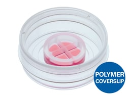 Ibidi USA Culture-Insert 4 Well in µ-Dish 35mm, High, ibiTreat - Tissue