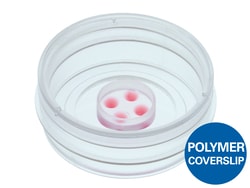 Ibidi USA&nbsp;micro-Insert 4 Well FulTrac in µ-Dish 35 mm, High, ibiTreat - Tissue Culture Treated Polymer Coverslip