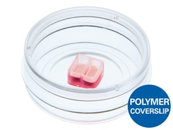 Ibidi USA Culture-Insert 2 Well in µ-Dish 35mm, High, ibiTreat - Tissue