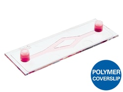Ibidi USA µ-Slide y-shaped, ibiTreat - Tissue Culture Treated Polymer Coverslip,