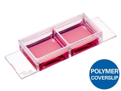 Ibidi USA µ-Slide 2 Well, Uncoated - Uncoated Polymer Coverslip