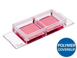 Ibidi USA -Slide 2 Well Ph+, 15pk