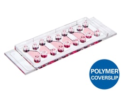 Ibidi USA µ-Slide Chemotaxis, ibiTreat - Tissue Culture Treated Polymer