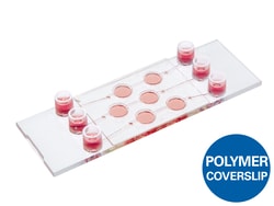 Ibidi USA µ-Slide III 3D Perfusion, ibiTreat - Tissue Culture Treated Polymer