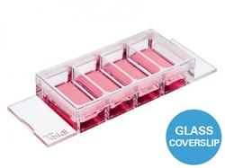 Ibidi USA µ-Slide 4 Well Ph+, Glass Bottom - #1.5H Glass Bottom Coverslip
