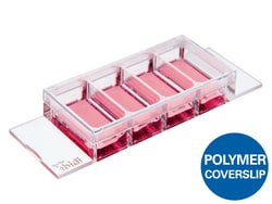 Ibidi USA µ-Slide 4 Well, Uncoated - Uncoated Polymer Coverslip, Quantity: