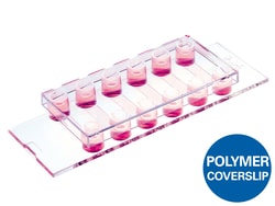 Ibidi USA µ-Slide VI 0.1, ibiTreat - Tissue Culture Treated Coated Polymer