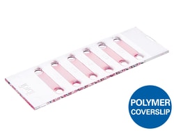 Ibidi USA µ-Slide VI - Flat, Uncoated - Uncoated Polymer Coverslip
