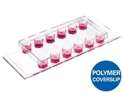 Ibidi USA&nbsp;µ-Slide VI 0.1, Uncoated - Uncoated Polymer Coverslip