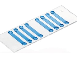 Ibidi USA An 8 channel cell counting chamber compatible with the Roche