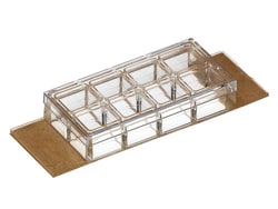 Ibidi USA&nbsp;sticky-Slide 8 Well, 15 pieces per box