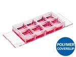 Ibidi USA µ-Slide 8 Well, ibiTreat - Tissue Culture Treated Polymer Coverslip