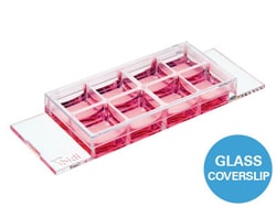 Ibidi USA u-Slide 8 Well Glass Bottom, 90/cs