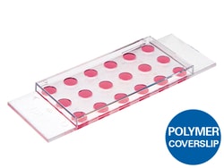 Ibidi USA µ-Slide 18 Well Flat, ibiTreat - Tissue Culture Treated Polymer Coverslip