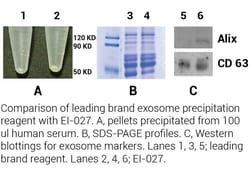 Invent Biotechnologies Inc&nbsp;Minute&trade; High-Efficiency Exosome Precipitation Reagent - Non-PEG (20 ml)