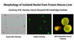 Invent Biotechnologies Inc&nbsp;Minute&trade; Detergent-Free Single Nuclei Isolation Kit, Spin-column based, 20 tests