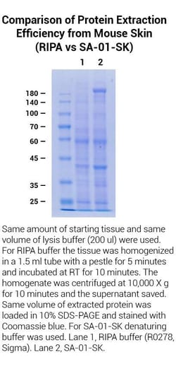 Invent Biotechnologies Inc&nbsp;MINUTE TOTAL PROTEIN EXTRA KIT