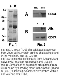 Invent Biotechnologies Inc Saliva Exosome Isolat Kit, Quantity: Each of