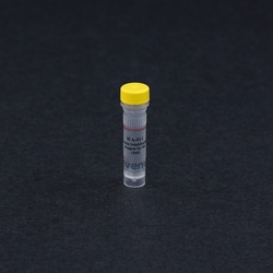 Invent Biotechnologies Inc Minute Protein Solubilization Reagent for MS
