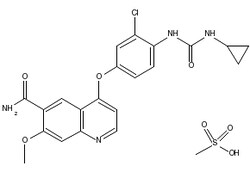 Carbosynth LLC. Lenvatinib mesylate | 857890-39-2 | MFCD18633219 | 1g,