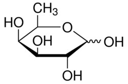 Carbosynth LLC. D-Fucose | 3615-37-0 | MFCD00135603 | 5 g, Quantity: Each