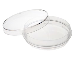 CELLTREAT Scientific Products 100mm x 20mm Tissue Culture Treated Dish