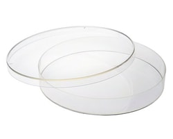 CELLTREAT Scientific Products 150mm x 20mm Petri Dish, Sterile