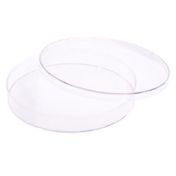 CELLTREAT Scientific Products 150mm x 20mm Tissue Culture Treated Dish,