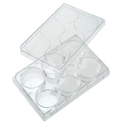CELLTREAT Scientific Products 6 Well Tissue Culture Plate, Sterile, Quantity: