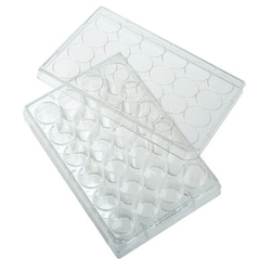 Celltreat Scientific Prod&nbsp;24 WELL TISSUE CULTURE PLATE