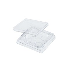 CELLTREAT Scientific Products 4 Well Tissue Culture Plate, Sterile, Quantity: