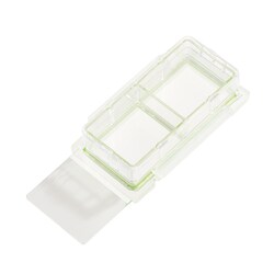 CELLTREAT Scientific Products 2 Chamber Cell Culture Slide, Sterile