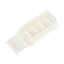 CELLTREAT Scientific Products 4 Chamber Cell Culture Slide, Sterile