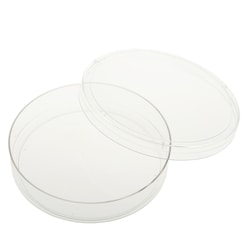 CELLTREAT Scientific Products 100mm x 20mm Tissue Culture Treated Dish,