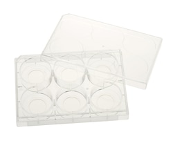 Celltreat Scientific Prod&nbsp;6 WELL GLASS BOTTOM PLATE 5/CS