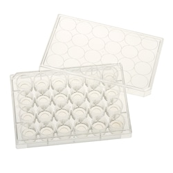 CELLTREAT Scientific Products 24 Well Glass Bottom Tissue Culture Plate,