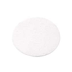 CELLTREAT Scientific Products Glass Fiber Filter Disk, Prefilter, Binder Free, 1.0m, 70mm, Sterile, 50/CS