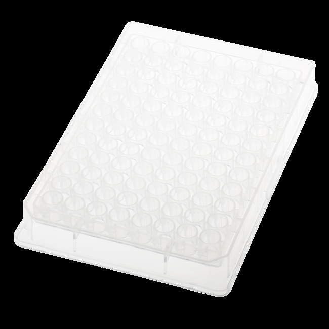 CELLTREAT Scientific Products 96 Well Plate, 0.36mL, PP, Round Well, VBottom, Fisher Scientific