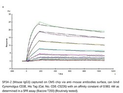 ACROBiosystems Recombinant Protein;Cynomolgus CD3 epsilon Protein;HEK293;100UG;CDE,FLJ18683,T3E,TCRE,CD3E,CD3-epsilon,CD3