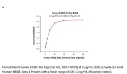 ACROBiosystems Recombinant Protein;Human ErbB3 / Her3 Protein, His Tag;HEK293;100UG;ER3,ERBB3,ErbB-3,HER3,HER-3,LCCS2,MDA-BF-1,MGC88033,c-erbB-3,c-erbB3,erbB3-S,p180-ErbB3,p45-sErbB3,p85-sErbB3,