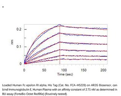 ACROBiosystems Recombinant Protein;Human Fc epsilon RI alpha Protein;HEK293;100UG;FCA,FCER1A,FCE1A,FcERI,