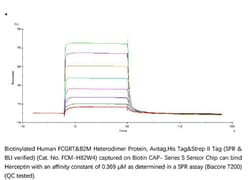 ACROBiosystems BIOTIN HUM FCGRT / B2M 200UG, Quantity: Each of 1