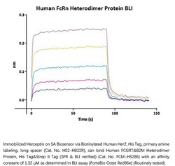 ACROBiosystems Recombinant Protein;Biotinylated Human Her2 / ErbB2, ultra